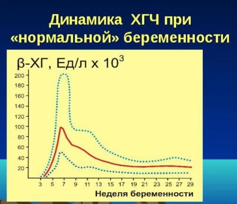 Условие нормальной беременности. ХГЧ при беременности. Динамика ХГЧ. Хч Ри беременности. Динамика ХГЧ при беременности.