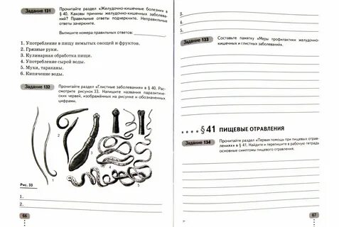 Биология 8 класс коррекционной школы
