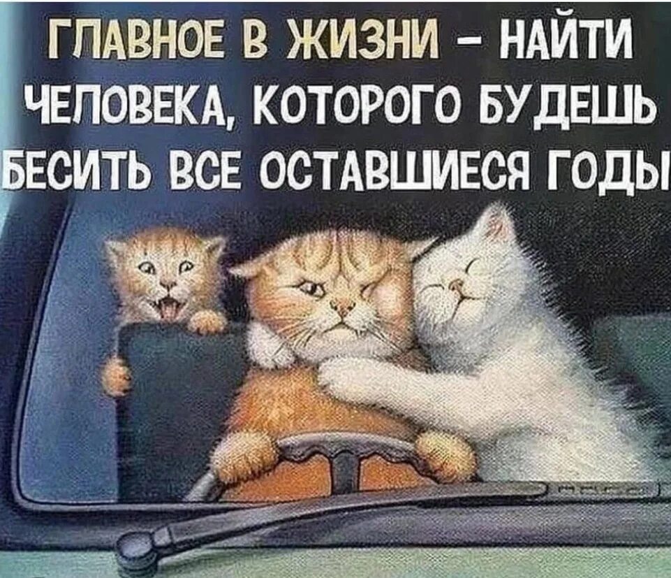 Главное изображение. Главное в жизни найти. Главное найти человека которого будешь бесить всю жизнь. Главное в жизни. Главное в жизни найти такого.