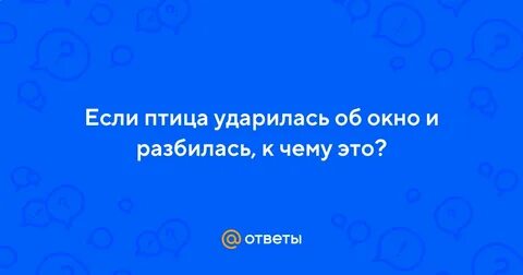 Птица ударилась в окно и упала примета