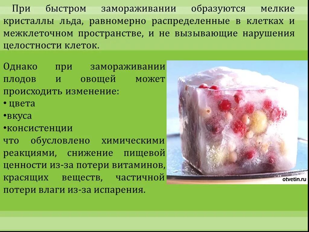 Процесс замораживания продуктов. Процесс замораживания ягод. Быстрое Замораживание. Процесс заморозки овощей. Замораживание ферментов