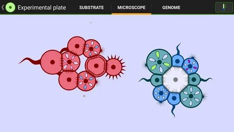 Cells как пройти игру