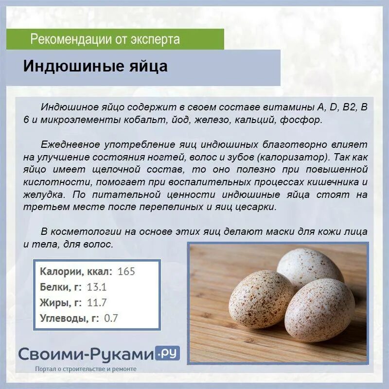 Сколько индюшка сидит на яйцах. Гусиные яйца размер яиц. Характеристика яиц. Размер гусиного и индюшиного яйца. Размер яйца индюка.