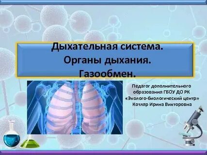 Орган обеспечивающий газообмен