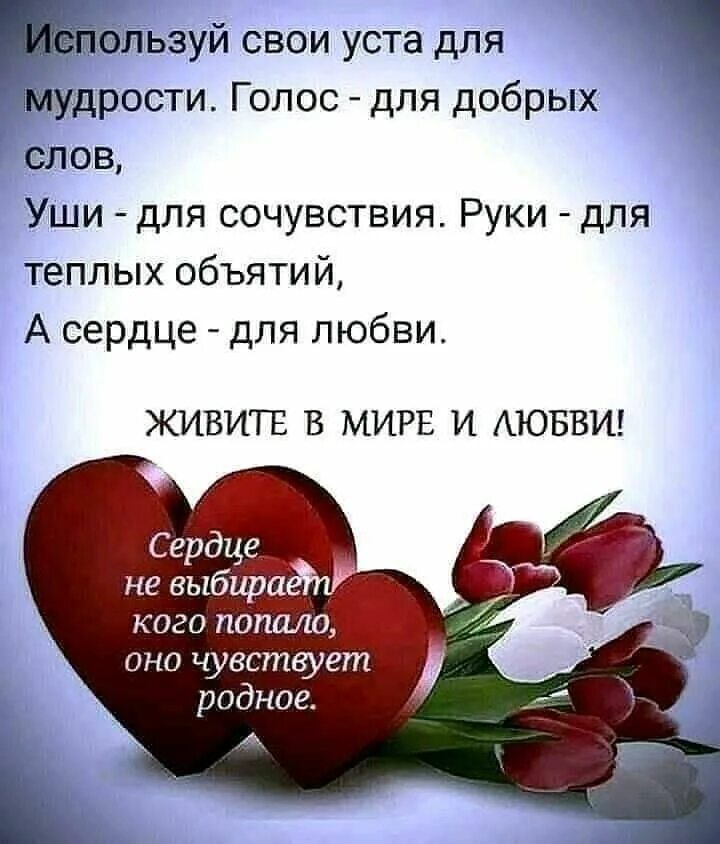 Сердечный жить
