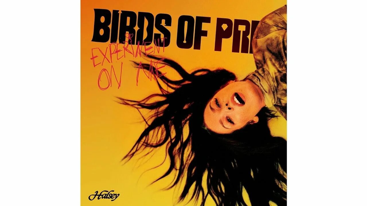 Halsey experiment. Experiment on me halsey. холзи experiment on me. birds of prey - the album. песня experiment on me halsey.
