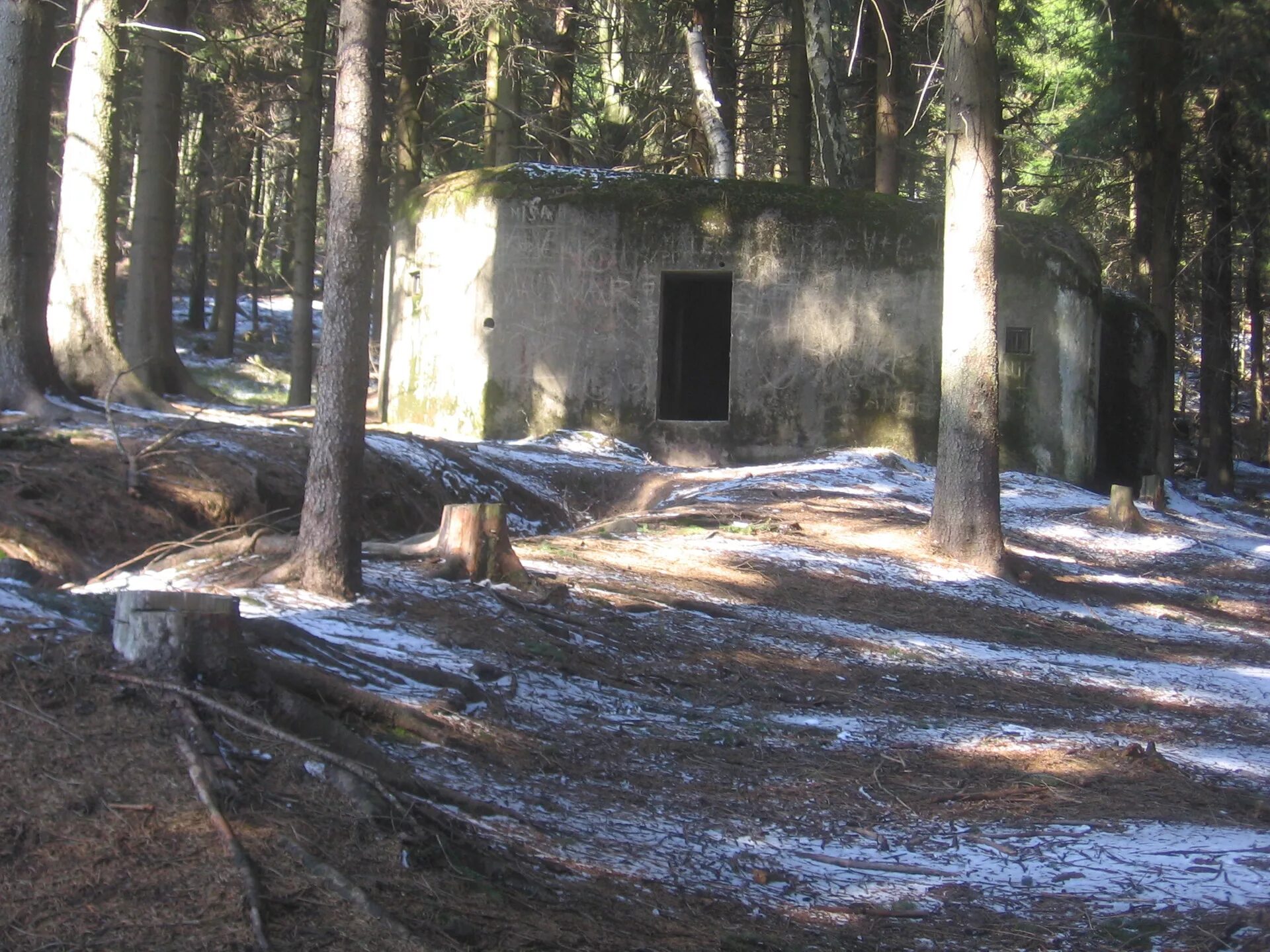Forest bunker. Бункер в лесу царицыно. Подземный бункер щепкинский лес. Замаскированный бункер в лесу. Forest bunker.
