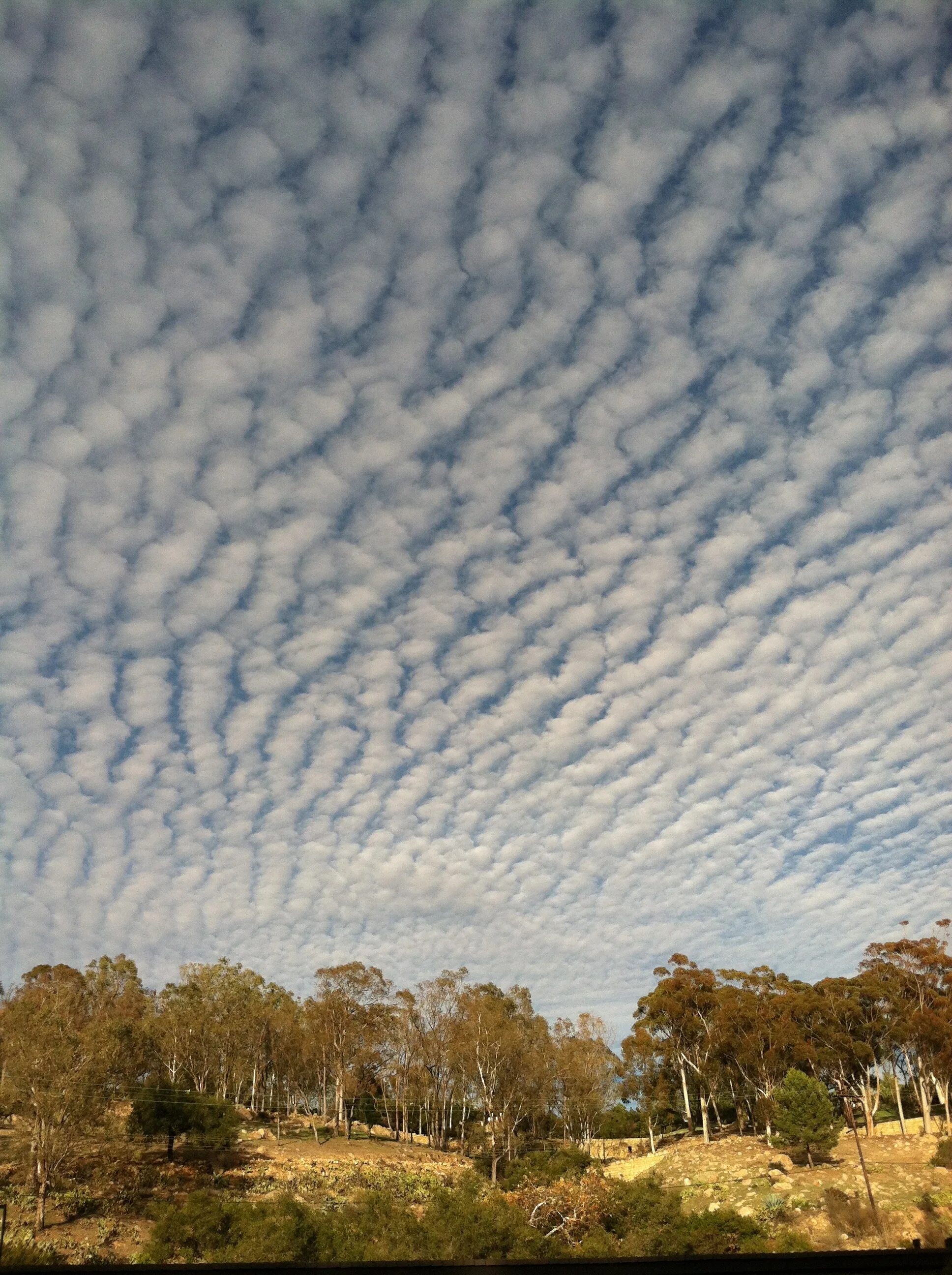 Cloud v