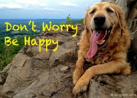Happy to be here wookiefoot