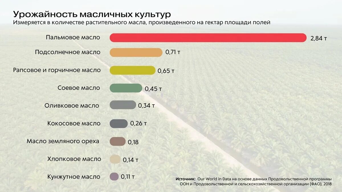 Потребление пальмового масла в мире. Пальмовое масло производители. Пальмовое масло производители. Основные производители пальмового масла. Лидеры производства пальмового масла.