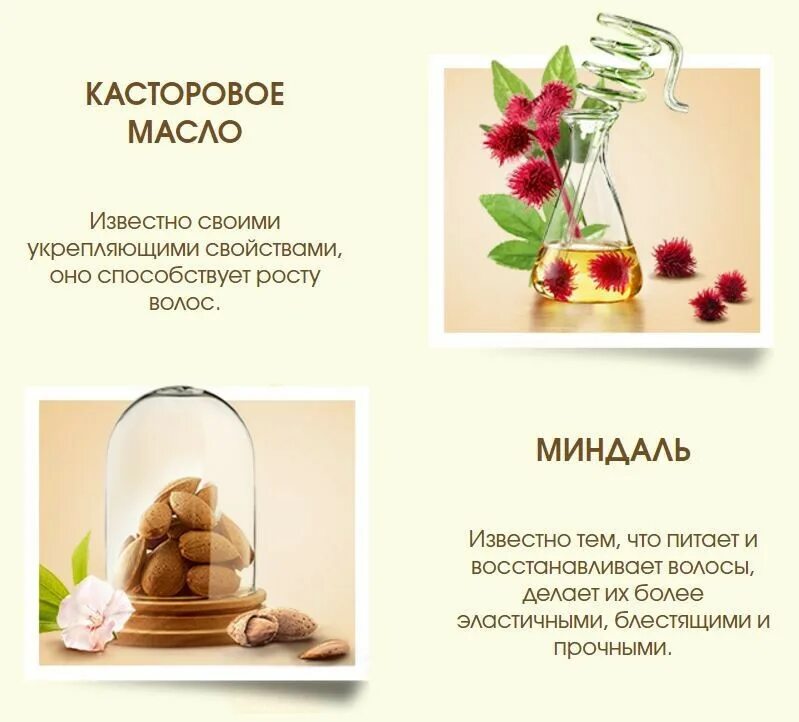 Касторовое масло и миндаль шампунь. Шампунь Botanic Therapy касторовое масло. Шампунь Garnier Botanic Therapy касторовое масло и миндаль. Шампунь Гарнер ботаник с касторовым маслом. Шампунь гарньер ботаник касторовое масло и миндаль.