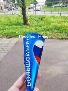 Славица большой брат