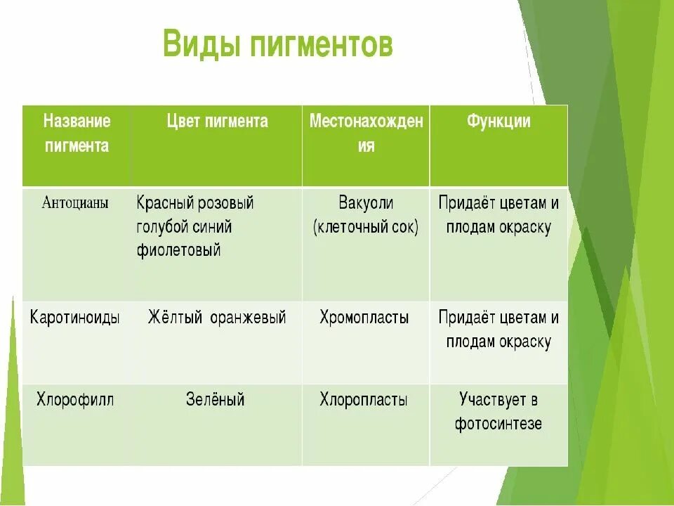 Какую функцию выполняет пигменты. Пигменты растительных клеток таблица. виды пигментов растений. названия пигментов растений. пигменты листа растения.