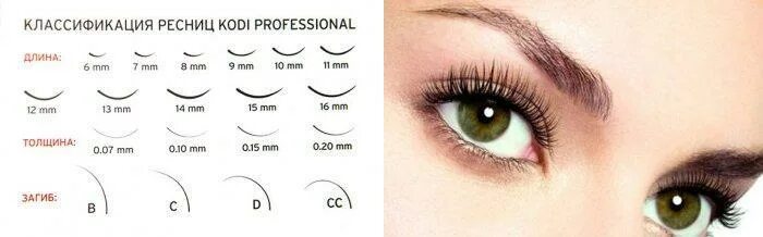 Уроки наращивания ресниц для начинающих пошагово. Наращивание ресниц пошагово для начинающих. Разметка для наращивания ресниц. Наращивание ресниц новичков. Наращивание ресниц новичков.