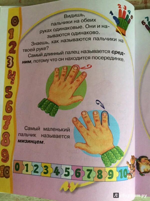 Стих про пальчики. Детский стих про пальчики. Считалка этот пальчик. Считалочка для пальчиков. Разминка для пальчиков для детей.