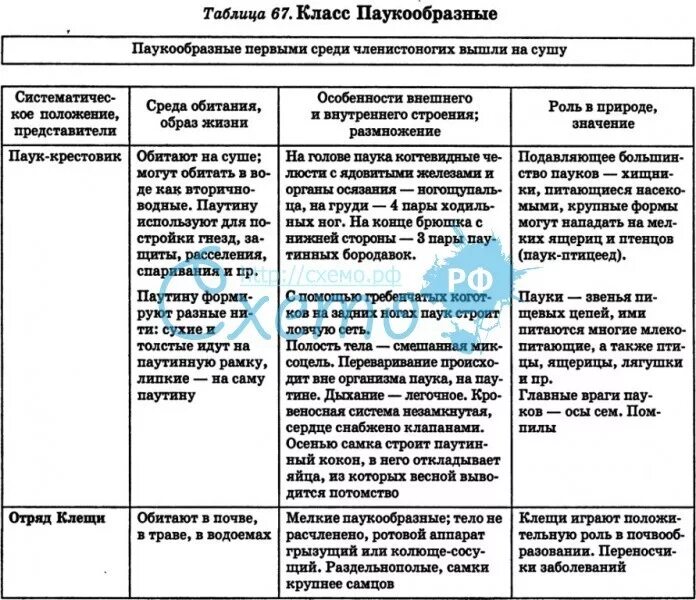 Таблица биология 7 класс ракообразные паукообразные насекомые. Таблица отряды паукообразных биология 7 класс. таблица по биологии 7 класс паукообразные общая характеристика. таблица по биологии 7 класс членистоногие представители. характеристика класса паукообразные 7 класс таблица.