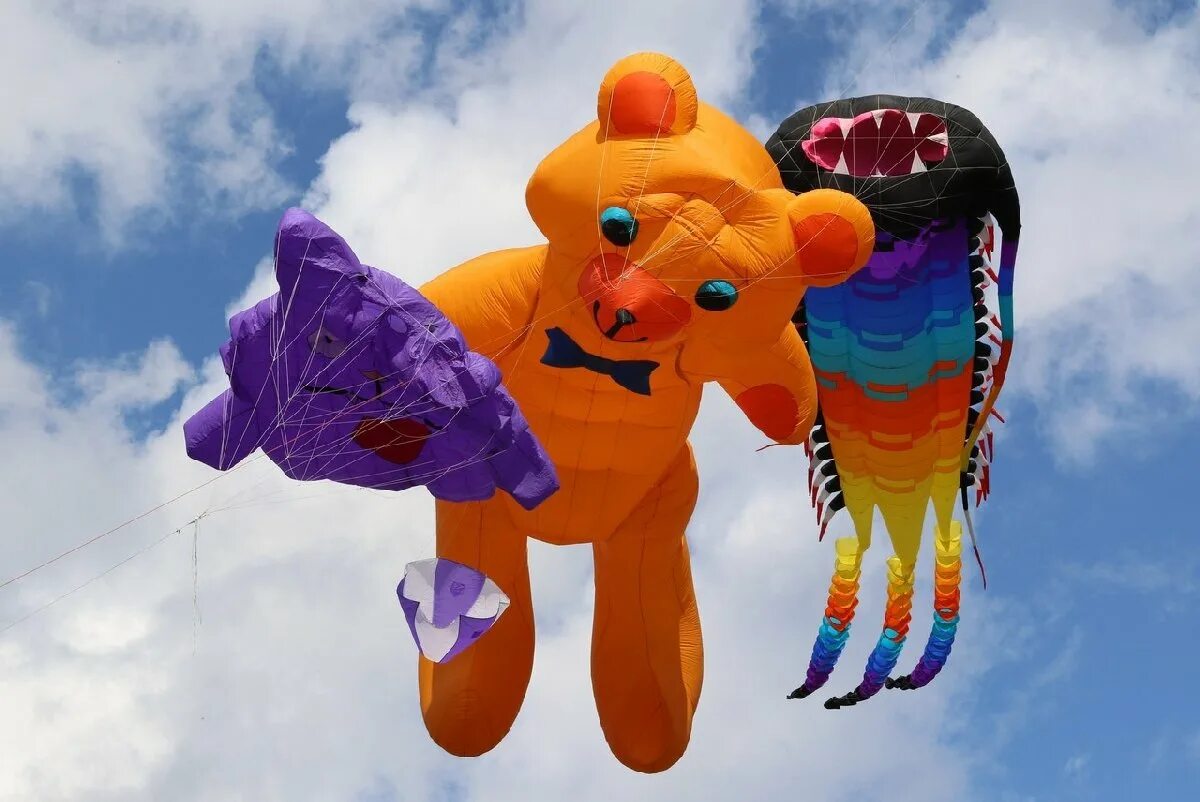 Воздушный змей в небе. Фестиваль воздушных змеев в царицыно 2022. Фестиваль воздушных змеев спб парк 300. Летучий змей. Бумажный воздушный змей.