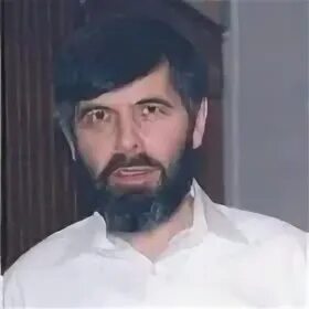 Головаха кроник. Головаха кроник
