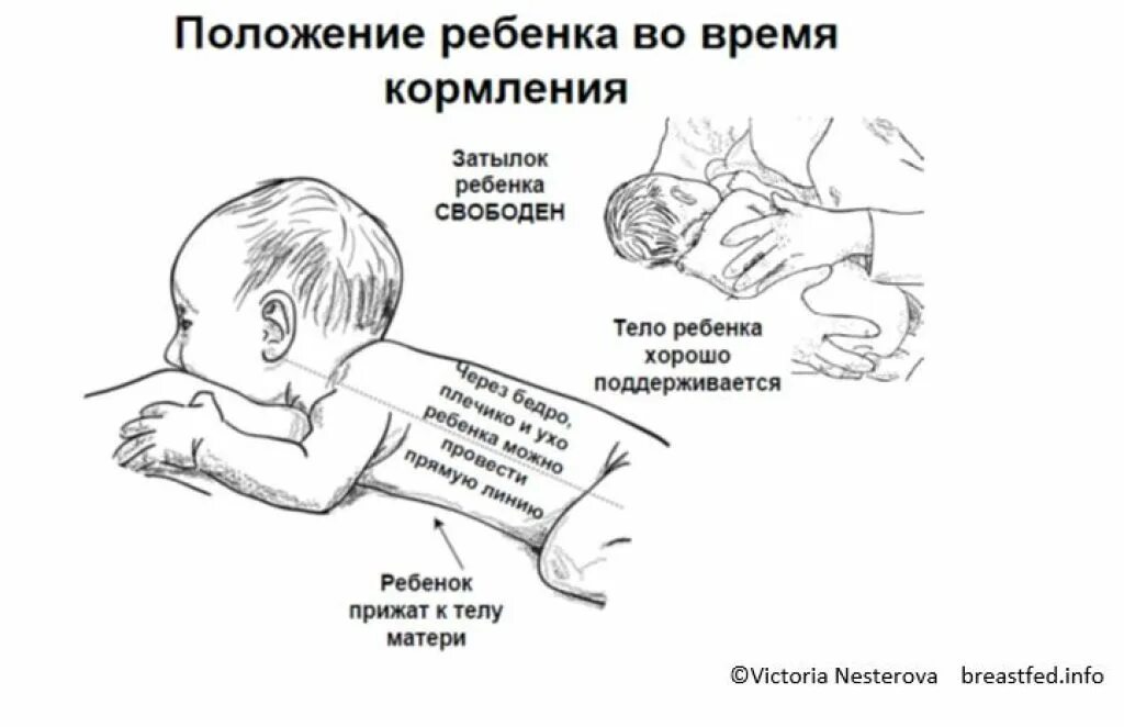 Неправильный захват. Правильное положение для кормления новорожденного. Положение матери при кормлении новорождённого. Схема грудного вскармливания новорожденного. Правильное положение ребенка при кормлении.