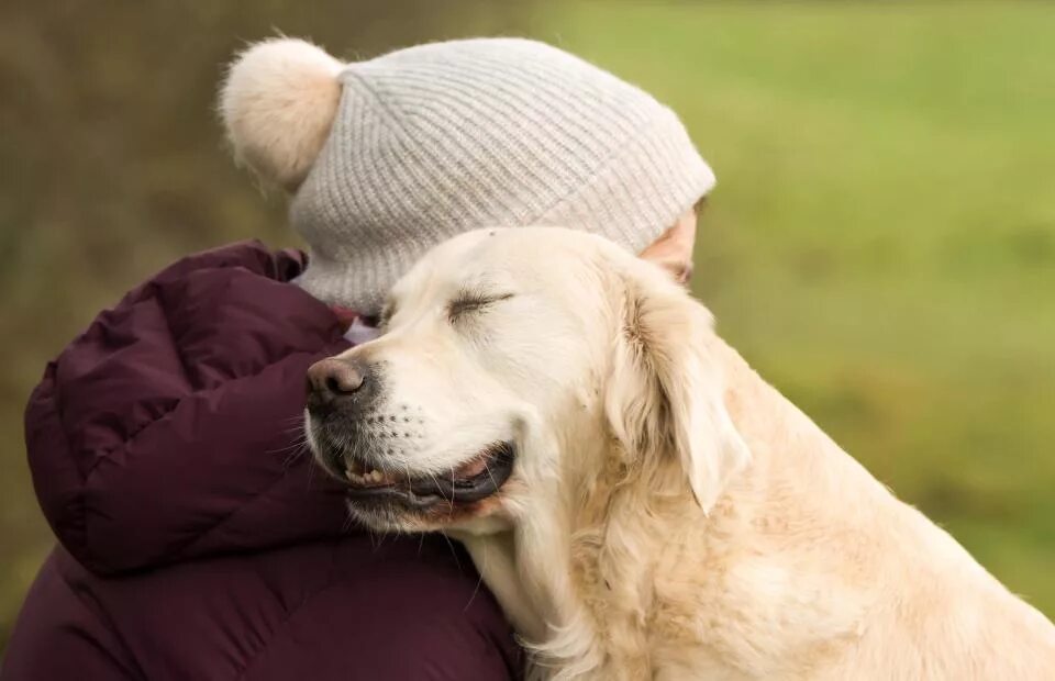 трогательные животные. животное лучший друг человека. трогательный щенок. собака друг человека. любовь к животным.