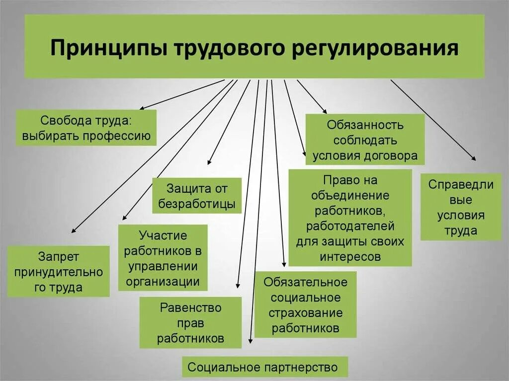 Особенности реализации свобод. Правовое регулирование трудовых отношений. Принципы трудового регулирования. Принципы регулирования трудовых отношений. Принципы регулирования трудовых правоотношений.