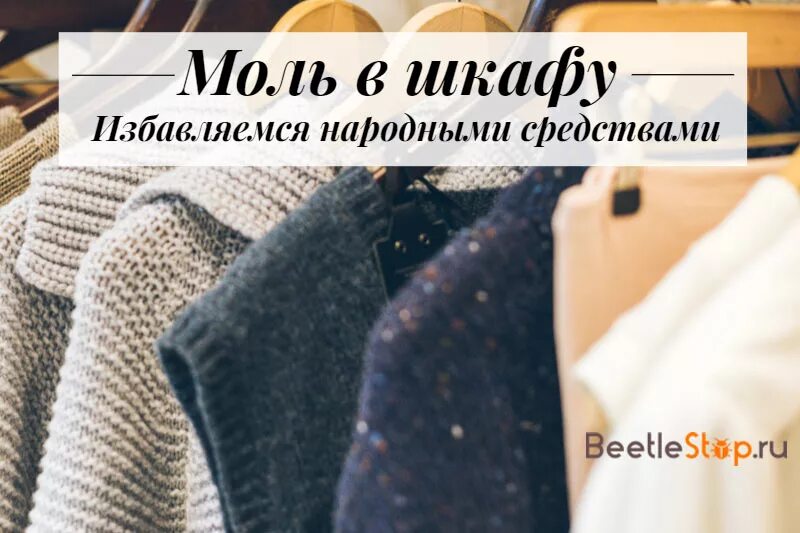 Средства от моли в шкафу с одеждой. Моль в шкафу. моль в шкафу с одеждой. от моли в шкафу народные средства.