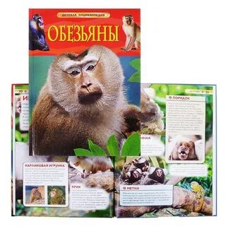 Энциклопедия об обезьянах