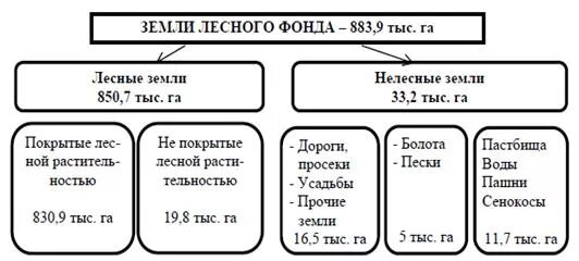 Лесной фонд схема. Лесной фонд схема. Состав земель лесного фонда. Категории земель схема. Состав земель лесного фонда.