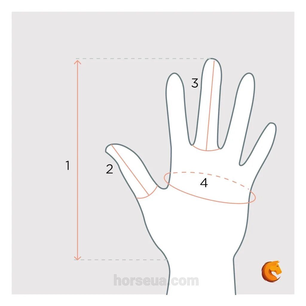 Как измерить руку для перчаток. Мерки для перчаток. Мерки для вязания перчаток. Мерки ладони для перчаток. Мерки для перчаток вязаных.