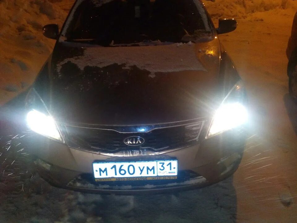 Кия СИД 2010 лампа ближнего света. Фары ближнего света Kia Ceed 2010. Лампочка ближнего света Киа СИД 2010. Лампочка ближнего света Киа СИД 2008. Свет кия сид