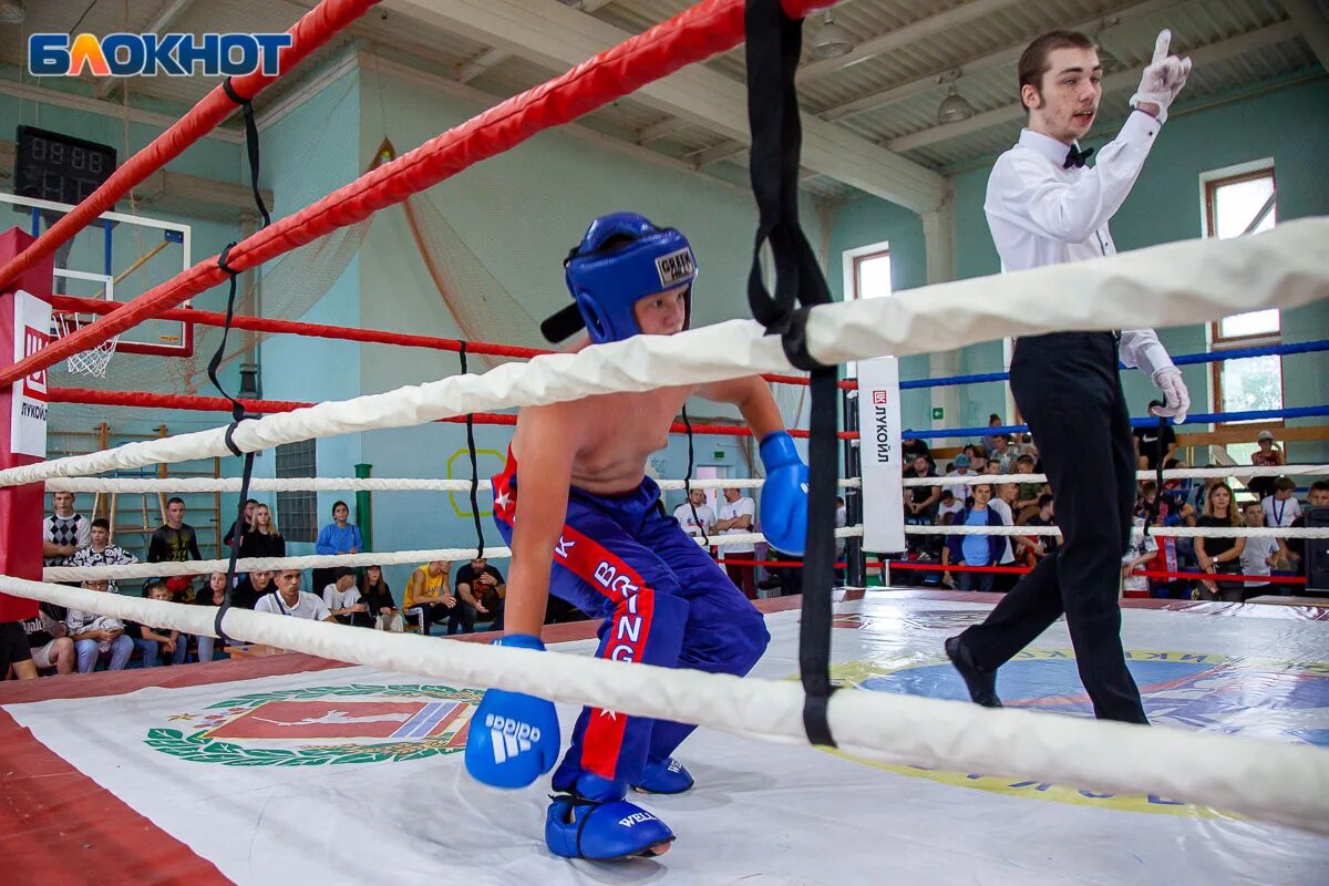 Михаил чувалджан бокс. Роман пижук кикбоксинг. Кикбоксинг дзержинск. Kickboxing. Кикбоксинг нижний новгород сормовский район.