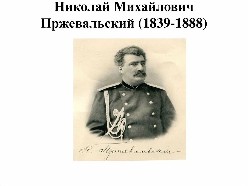 Портрет Пржевальского Николая Михайловича. Географ Пржевальский.