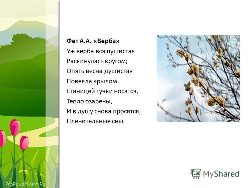 Стихотворение про весну фет. Стихотворение про весну фет. Стихотворение про весну фет. Стихи фета о весне короткие. Стих фет верба вся пушистая.