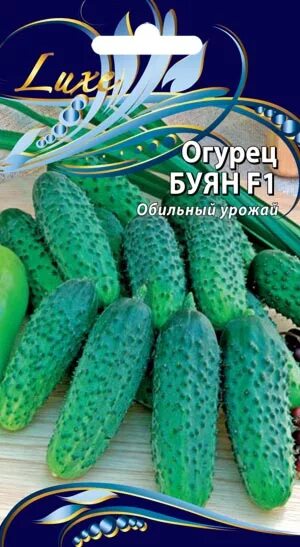 Огурцы муромские. Буян сорт огурцов. Огурец кудесник. Огурец буян f1. Огурец буян f1.