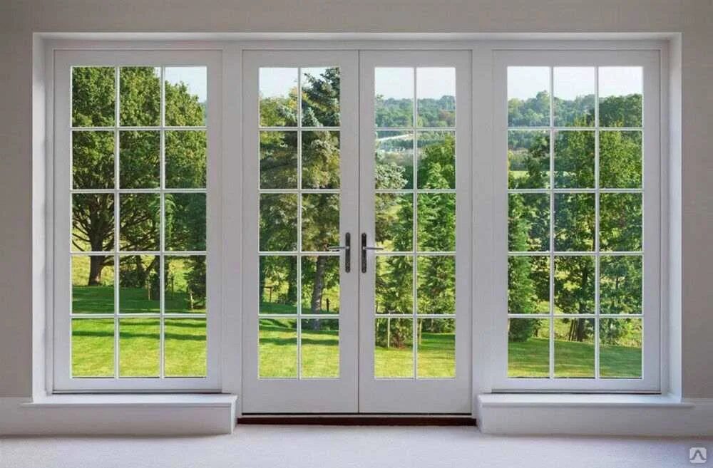 Door 2 windows