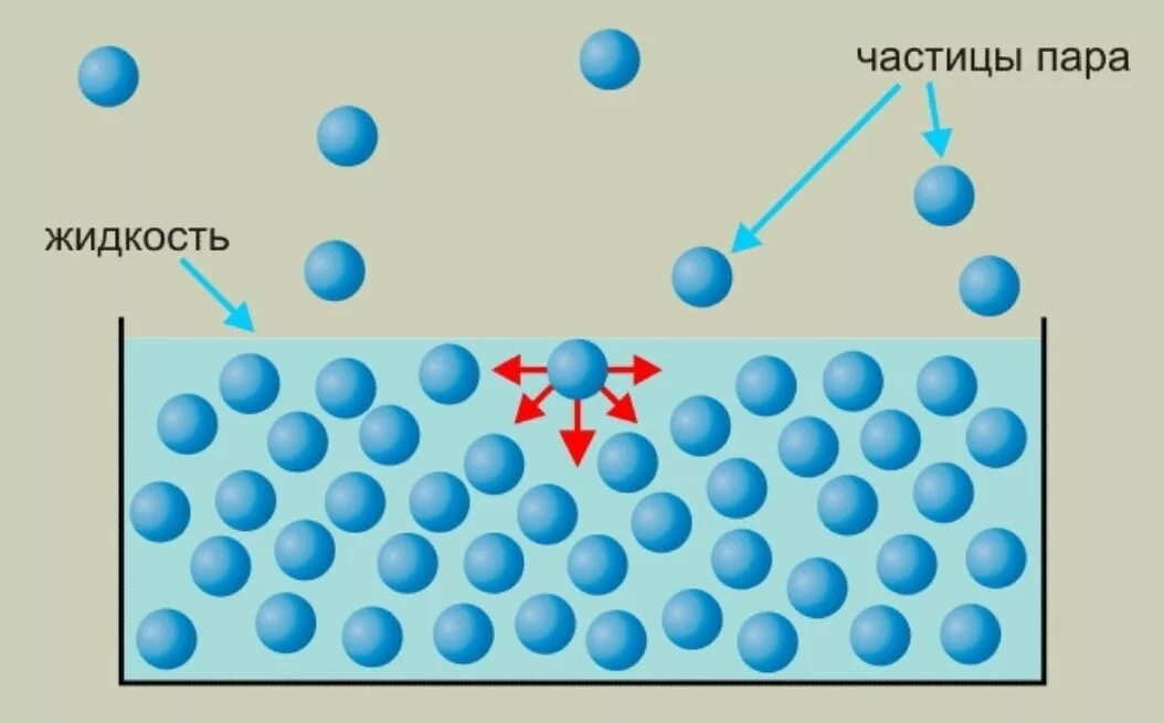 Рисунок нагревания воздуха. Сила поверхностного натяжения жидкости физика. Поверхностное натяжение воды молекулы. Частицы вещества. Испарение воды молекулы.