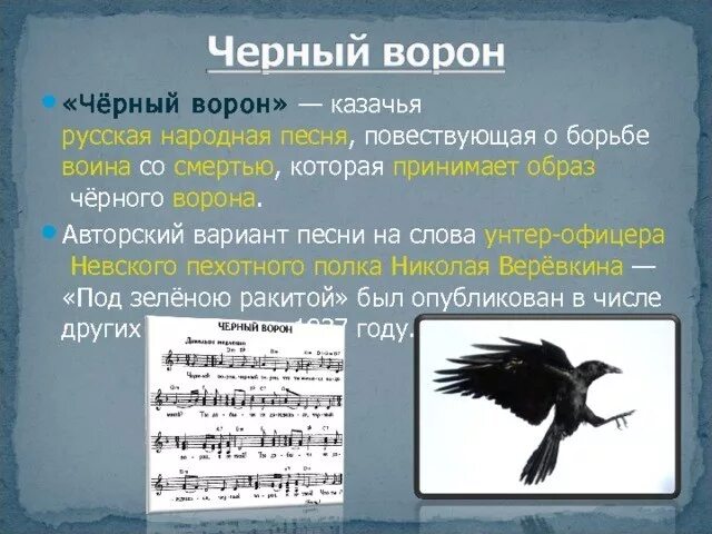 Ворон к какой группе относится. Черный ворон текст. слова песни черный ворон.