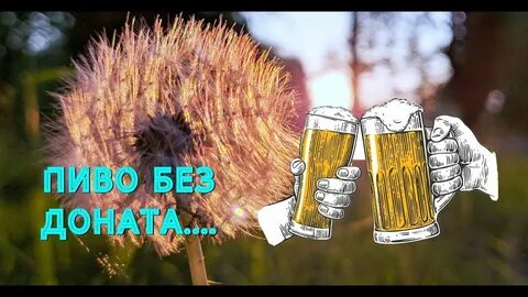 Песни под пивко