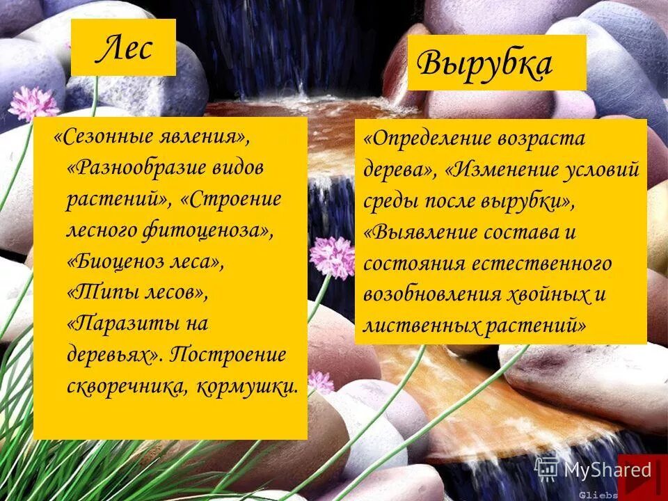 Вырубка лесов слайд. Плюсы и минусы вырубки деревьев. Вырубка леса последствия. Вырубка лесов. Плюсы и минусы вырубки деревьев.