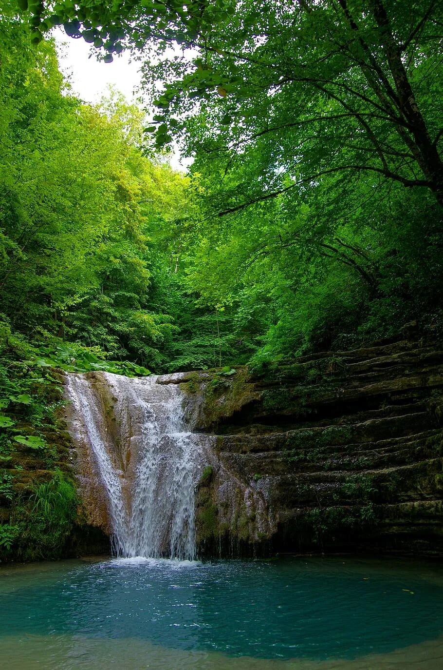 Самурский лес водопад. Кадышский лес водопад. Венсенский лес водопад. Лесное озеро водопадик.