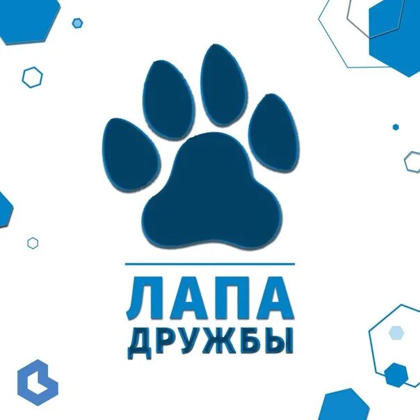 Лапа дружбы. Лапа дружбы акция. проект лапа дружбы. всероссийская акция лапа дружбы.