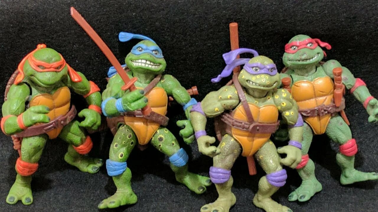 Turtles collections