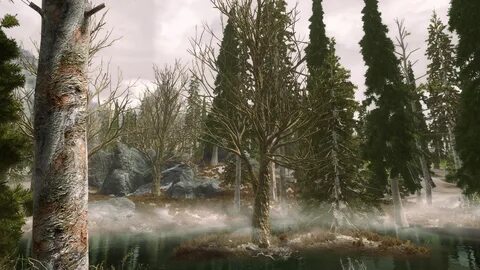 Skyrim 3d