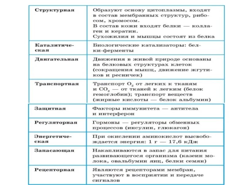 Три функции ферментов. Ферменты ЕГЭ биология таблица. Ферменты и их функции таблица. Ферменты таблица ЕГЭ. Таблицу функции ферментов в организме.