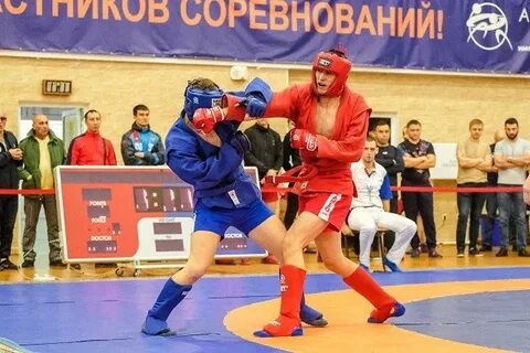 Чемпионат сфо