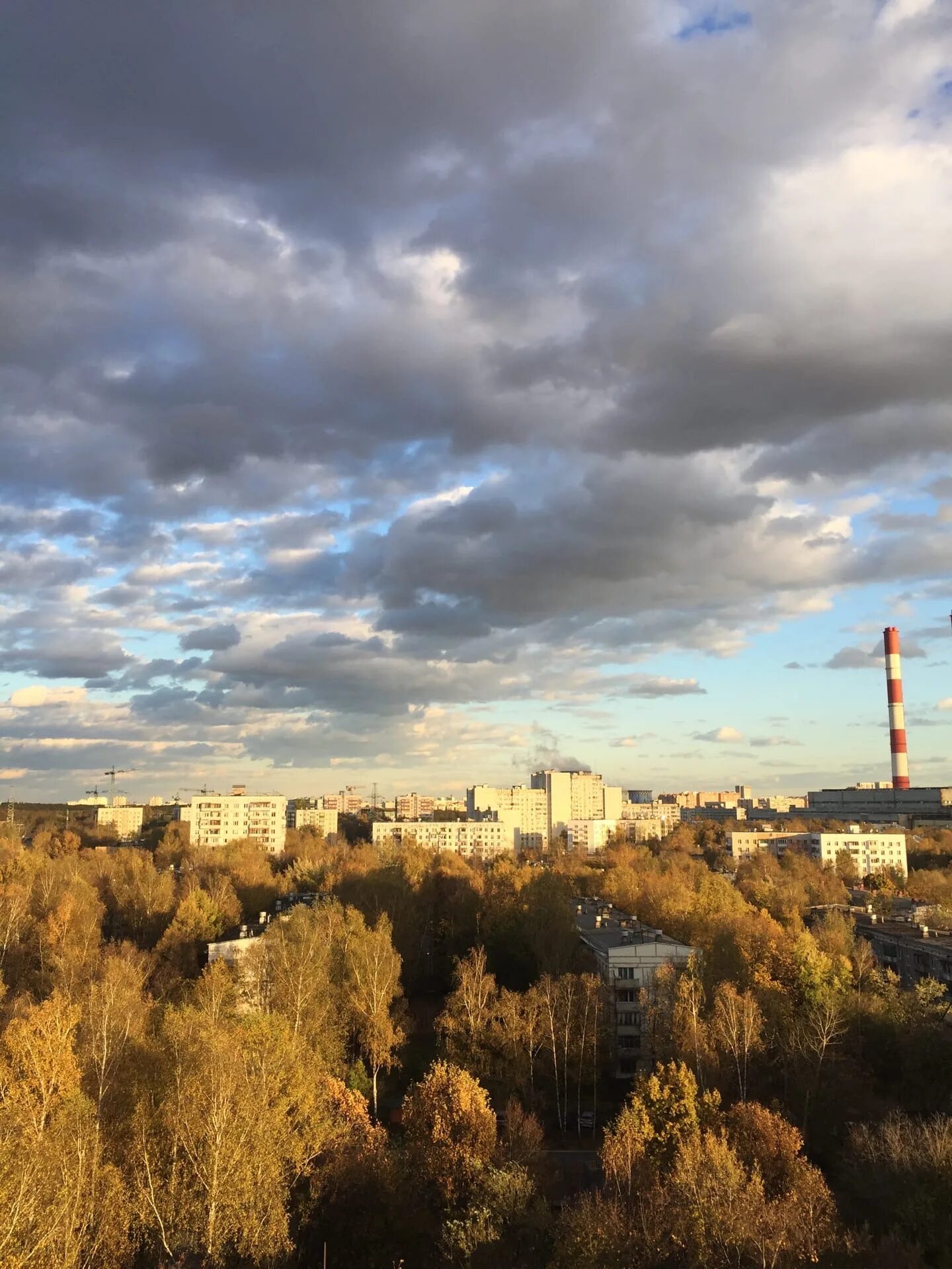 Погода в москве в метрогородке. Район Метрогородок. Метрогородок Москва. Метрогородок лес Капич. Метрогородок Восточный административный округ.