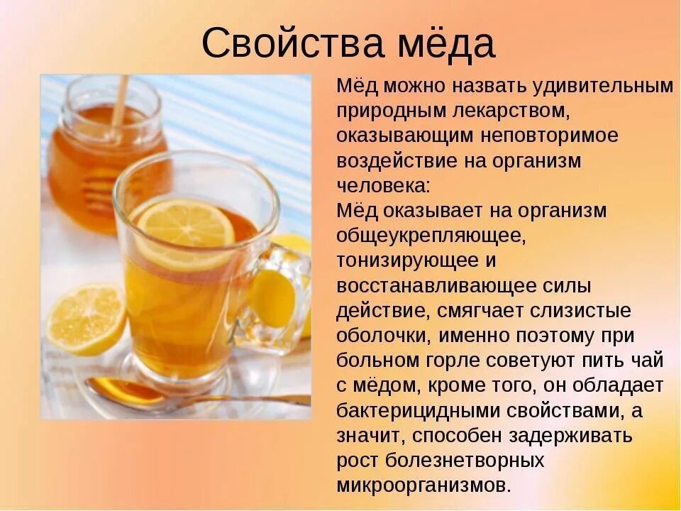 Чем полезен сельдерей. Польза меда. Лечебные свойства кисломолочных продуктов. Чем полезен базилик. Чем полезен анис.