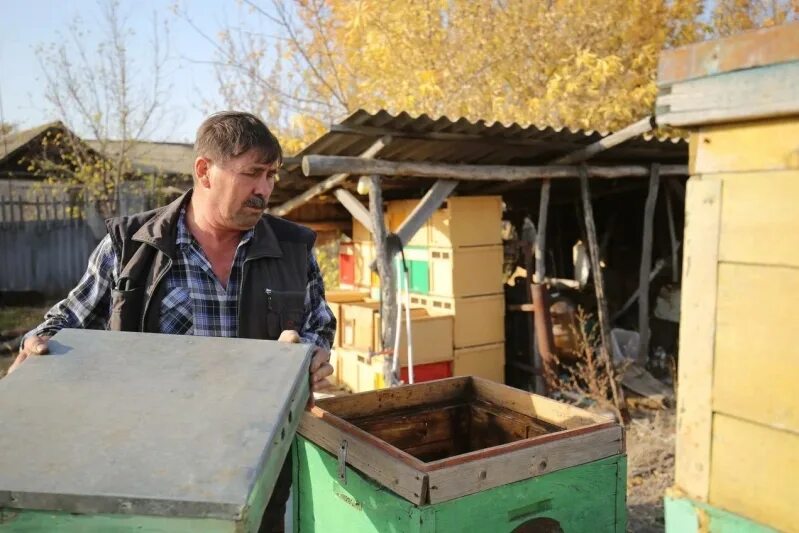 Пасека. Улей сибири. Улей сибири. Погода в пчельников. Пчельники рамонский.
