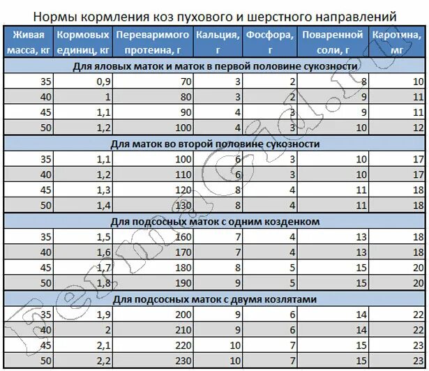 Сколько давать молоко козлятам. Нормы кормления козлят молоком таблица. Норма кормления козлят с первых дней жизни таблица. Нормы кормления козлят молоком. Рацион кормления козлят с первых дней.