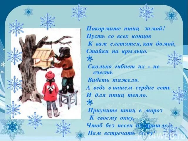 К зимним явлениям в неживой природе относится